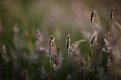 拉瑞安工作室X突然改名引发新作猜想 官方澄清纯属失误